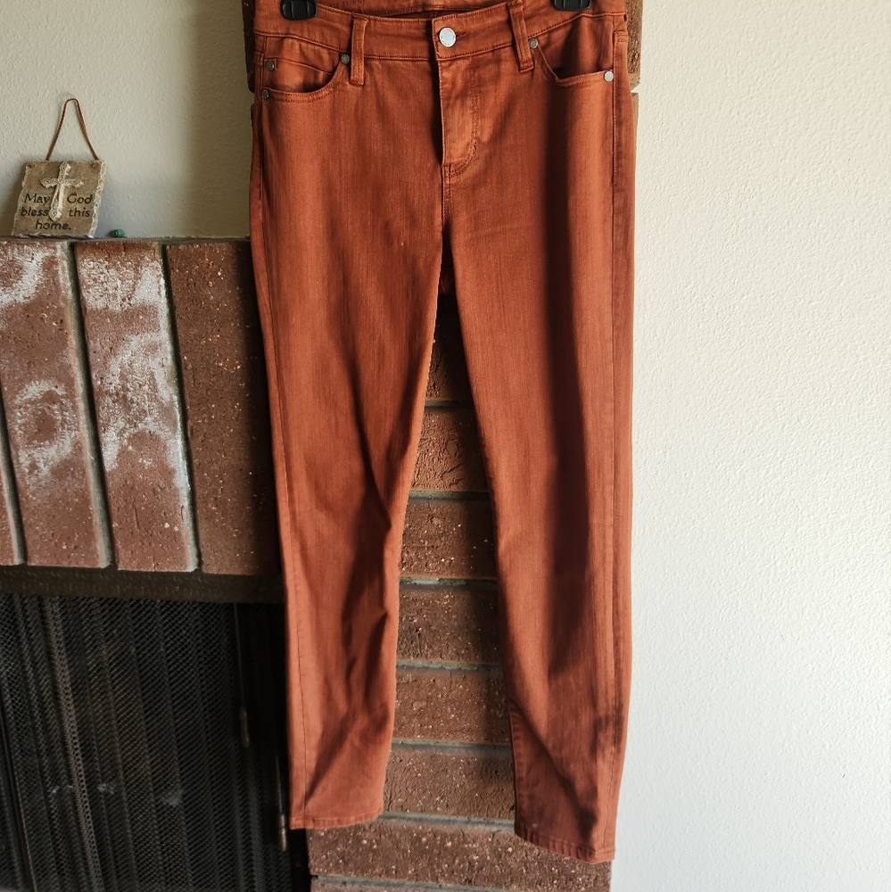 Liverpool Jeans Company Skinny Pants in Rust